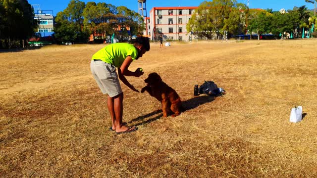 The owner plays with the dog lovingly