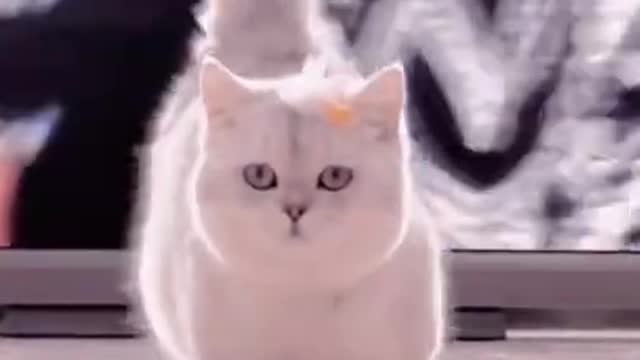 1.Adorable model 🌸 #shorts