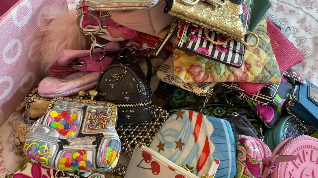 My Coin Purse Collection Aug 2020 and a Shout-Out to Caitlyn.