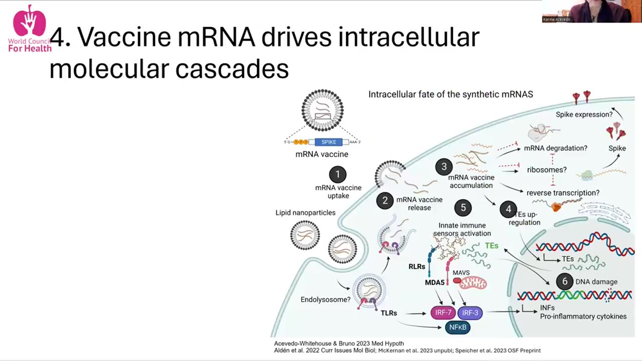 Questioning the safety of mRNA vaccine biotech?