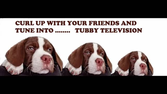 TECHIE TUBBY - THE ENERGY STICK