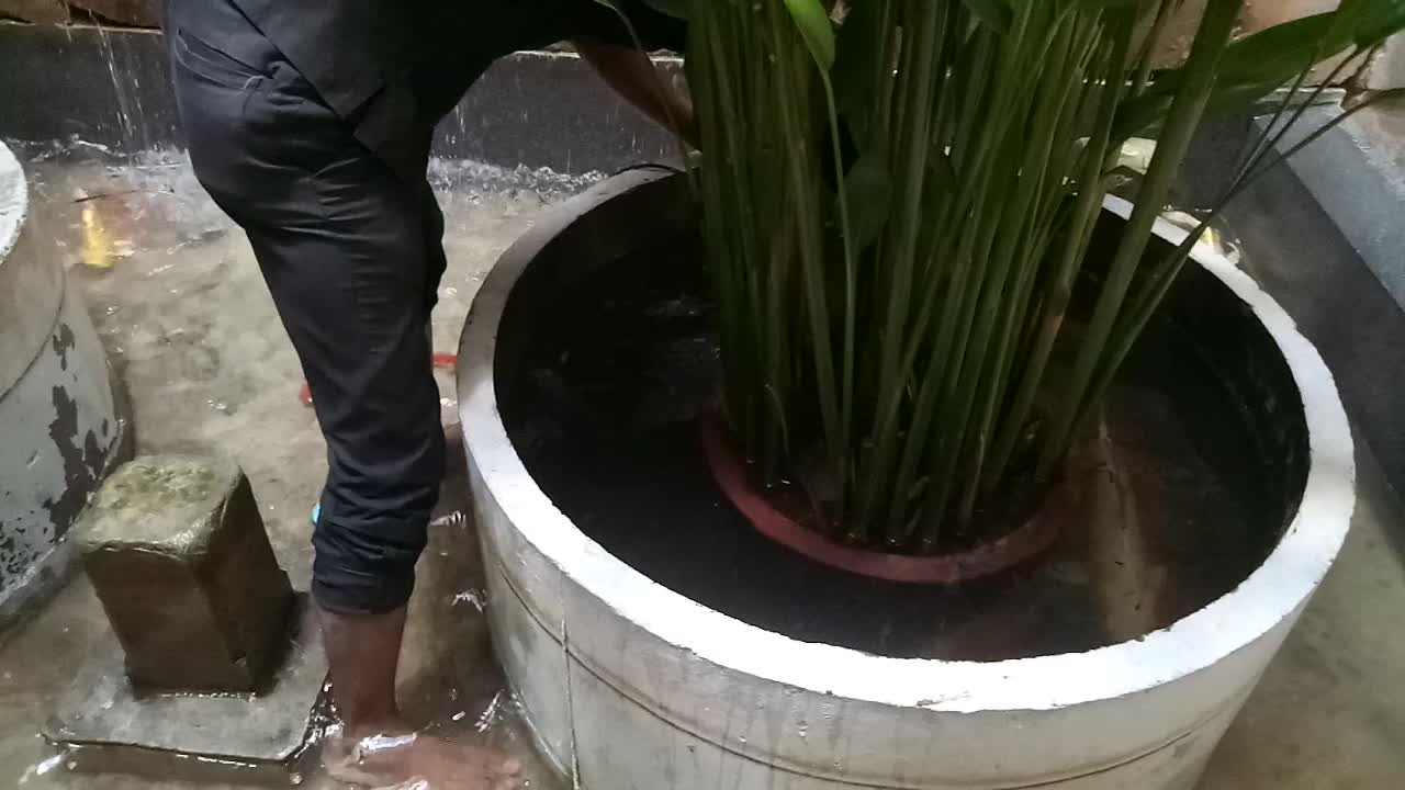 A man catching fish out of the pond