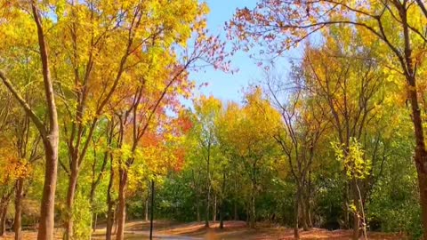 The wind has the smell of winter, and the year is coming to an end.