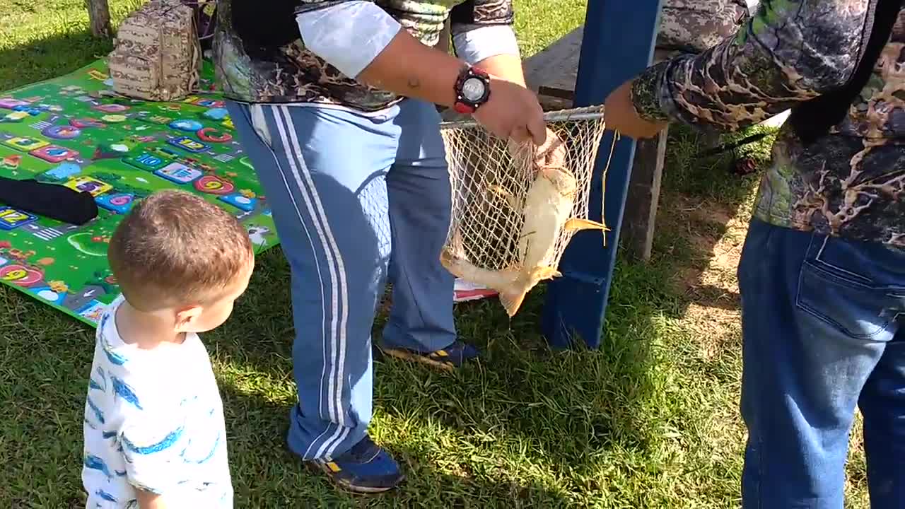 Pesca de bagre pangasius (Basa) en el Ecoparque las Garzas, Porce, Antioquia, Colombia