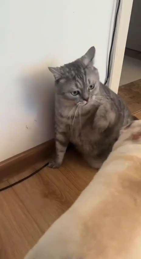 Dad. Jimmy is drunk again and his breathe stinks 😂