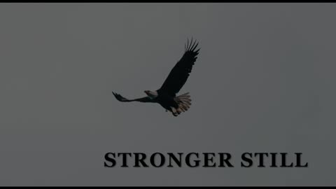 Pray USA 11/20/23 Stronger Still