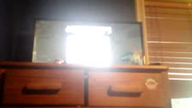 Minecraft ps3 realms smp s1 pt 4