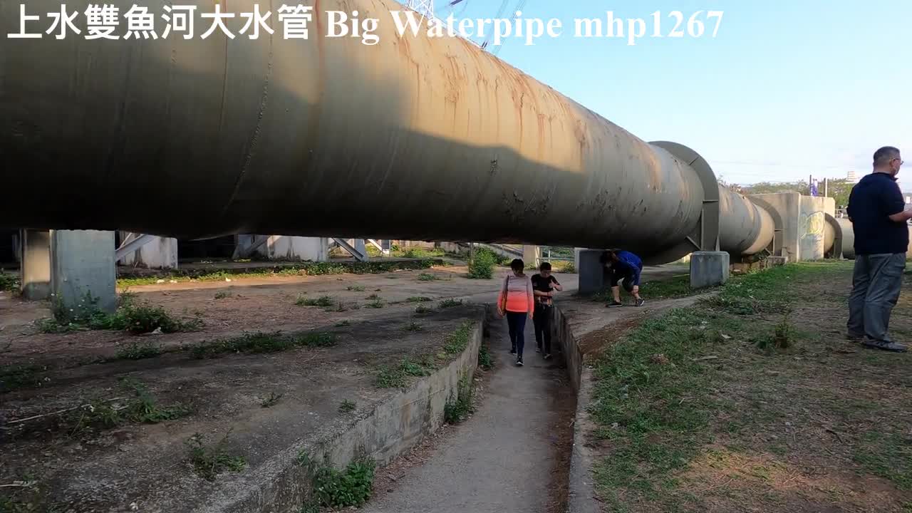 上水雙魚河大水管 Sheung Yue River Big Waterpipe, mhp1267, Mar 2021