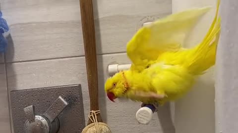 Lemon shower time 🍋