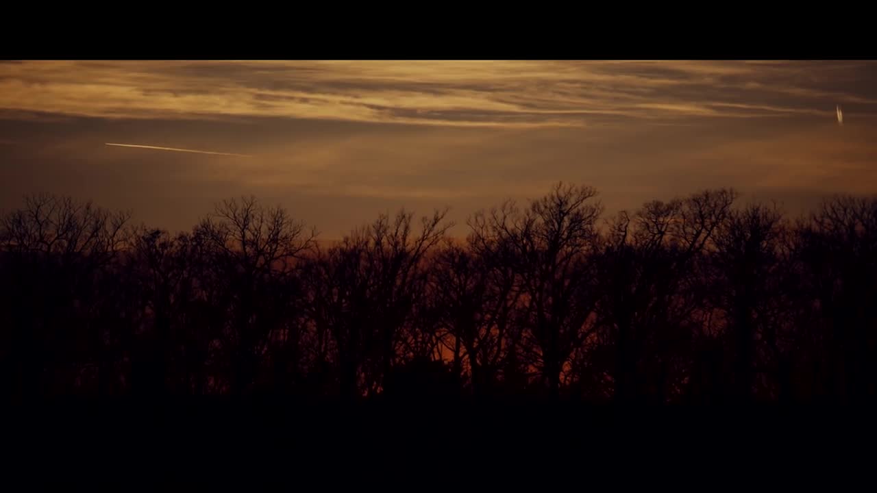 Kansas Whitetail Hunt