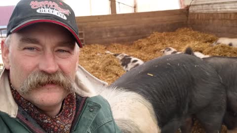 Loos from the Hip Mar 1, 2021 March equals #MeatMatters