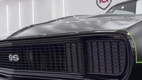 Car lover