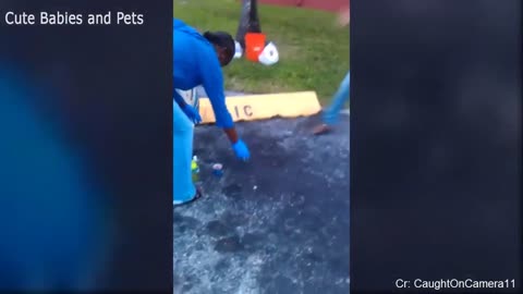 Funny Different Animals Chasing and Scaring People 2024