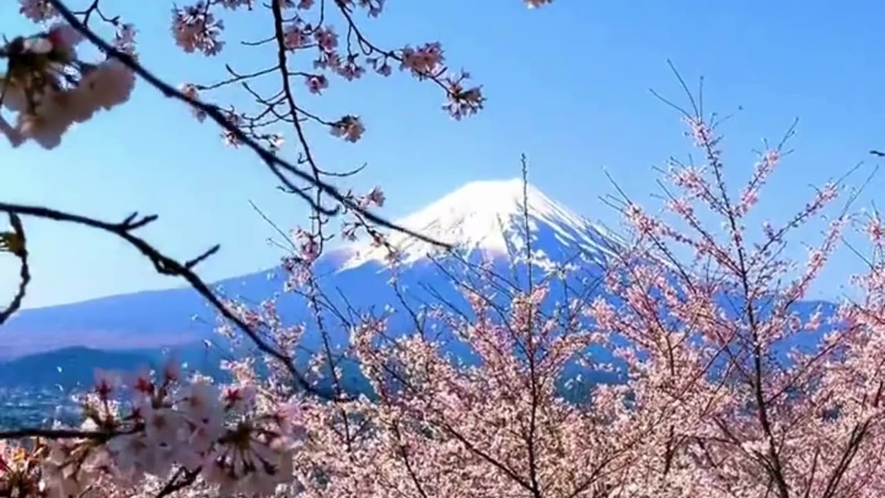 Mount Fuji in Japan #Mount Fuji #Japan