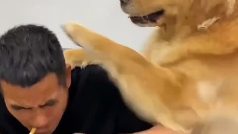 DOG:NO SMOKING INSIDE THE HOUSE-SMART DOG