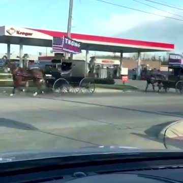 Amish 4 Trump!!!!
