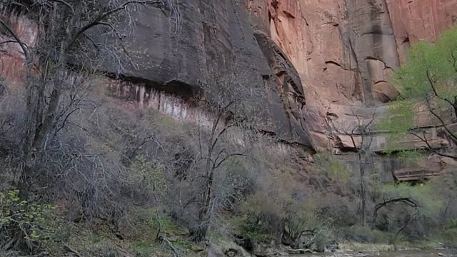 Zion National Park outside the Narrows