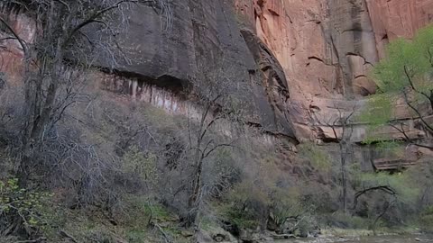 Zion National Park outside the Narrows