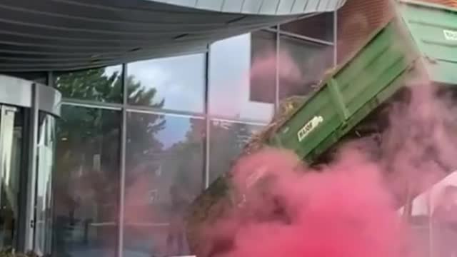 Holandští farmáři vylévajů můčůvku před státní úřady