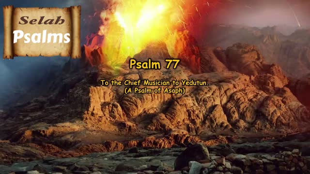 The Selah Psalms Project