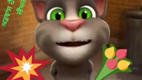 Talking Tom🤣😂