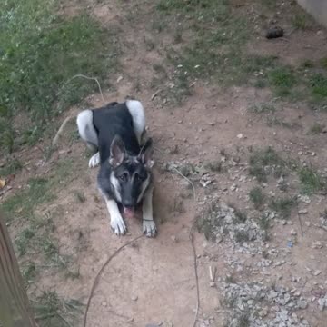 Really really really really ready