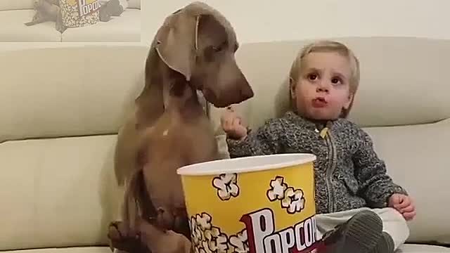 Baby and Puppies eating popcorn together