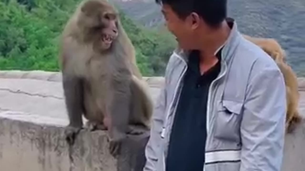 Monkey brother laughed so happily that he became a spirit