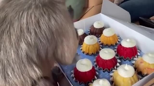 Treat!!!