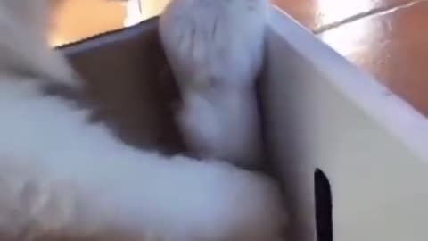 Sometimes we all need a little help from our friends