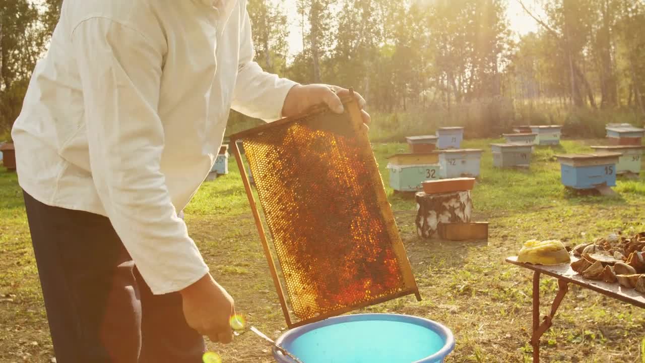 The beekeeper gets a frame from the hive