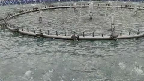 Fountain in the city