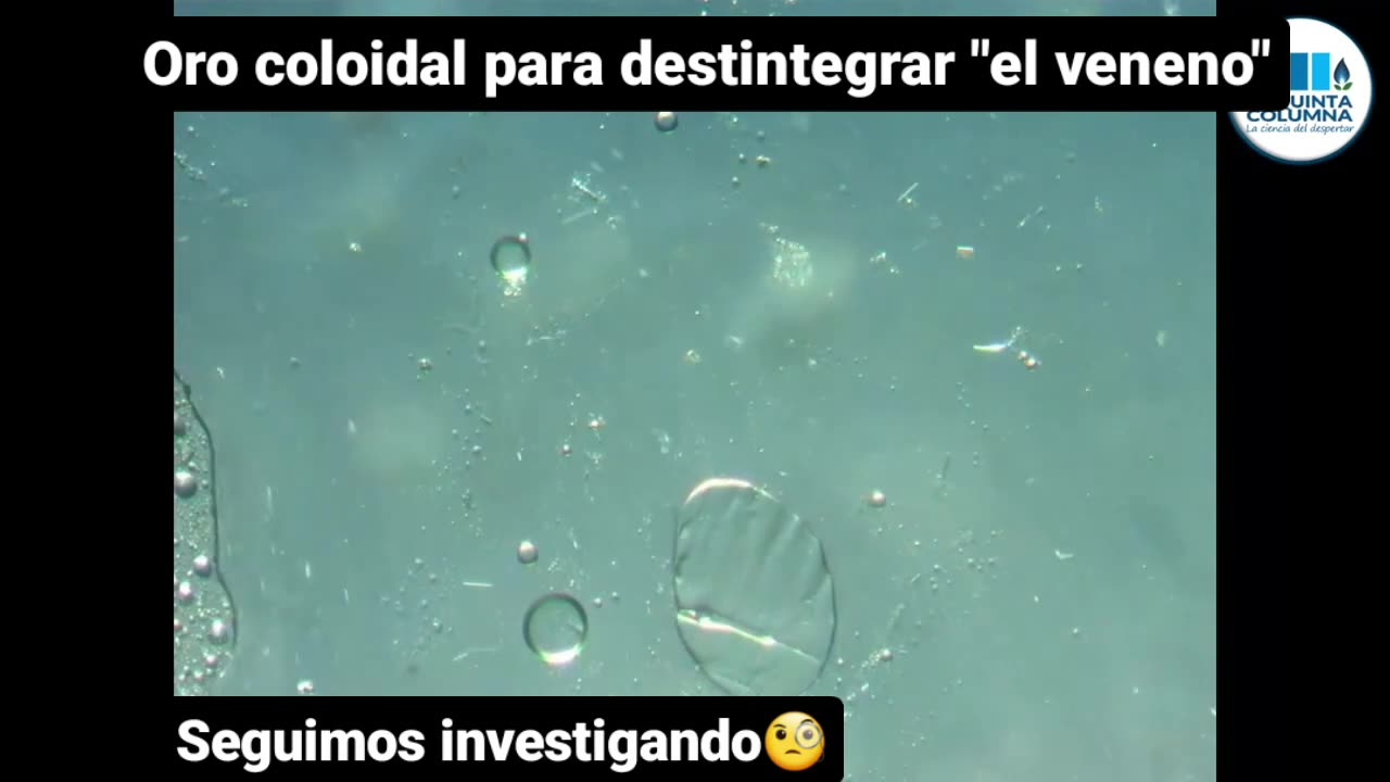 ORO COLOIDAL DISUELVE Y DECINTEGRA LA NANOTECNOLOGIA INCERTADA EN LA SANGRE DE LOS VACUNADOS