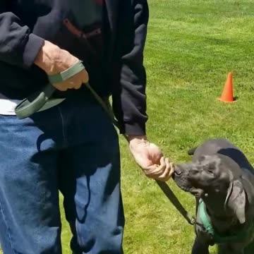 River heel cue clip 3