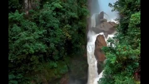 Nature video with amazing scenes