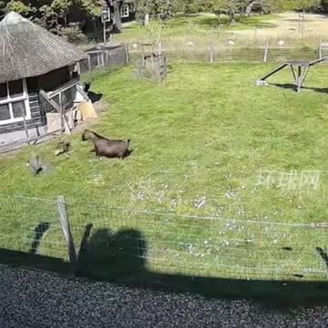 Are you bullying my friends? I dont like