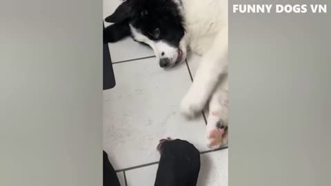 funny video compilation part 1