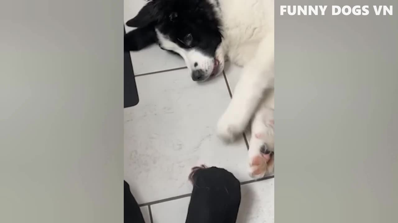 funny video compilation part 1