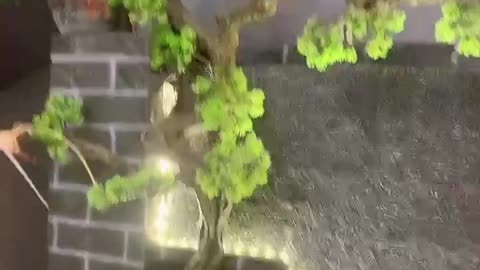 indoor garden