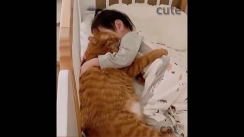 Cute cat with kids