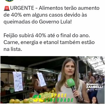 URGENTE - Alimentos terão aumento de 40% em alguns casos devido às queimadas do Governo Lula! Feijão subirá 40% até o final do ano. Carne, energia e etanol também estão na lista.