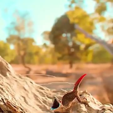 The real meaning of the defense mechanism