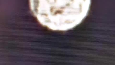 New Jersey Orbs flash beautiful portraits showing life on alien planet