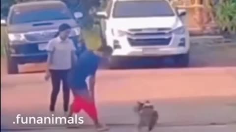 🙈funny animals video 😹😹😹