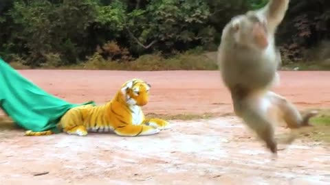 Fake Tiger Prank!