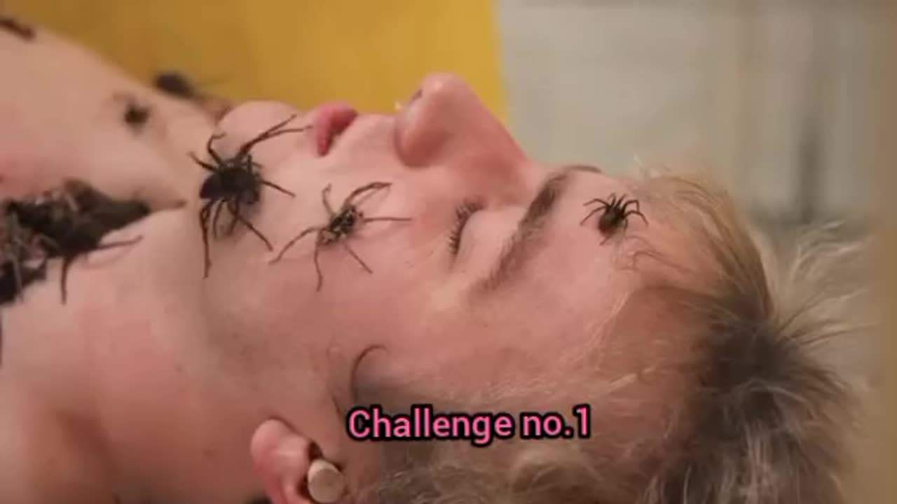 Spider challenge on mr beast