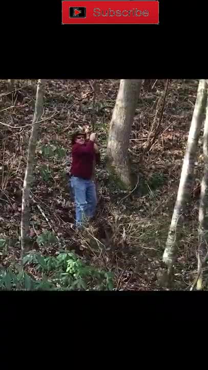 Best Funny Video Clips 2022 #shorts (46)