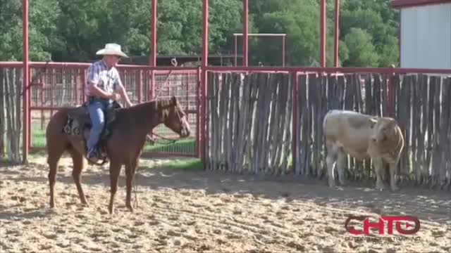 Mastering Your Feet And Legs When Riding Cutting