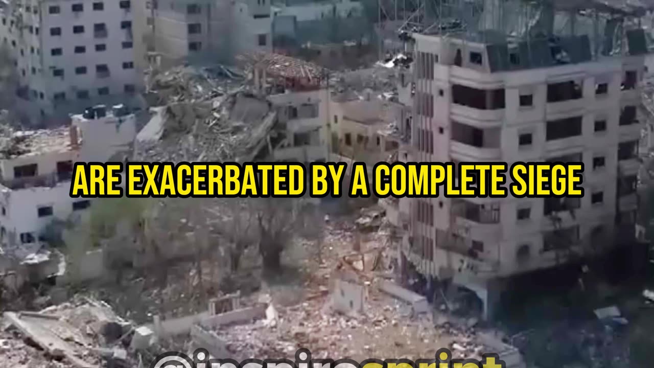 Voices from Gaza: Desperate Pleas for Peace and Normalcy
