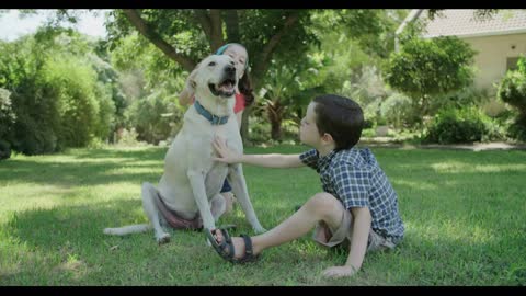 Brother and sister playing with a big white dog